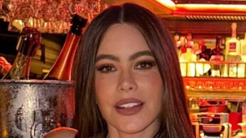 Sofia Vergara puts on busty display as she bonds with Desperate Housewives actress during girls' night out