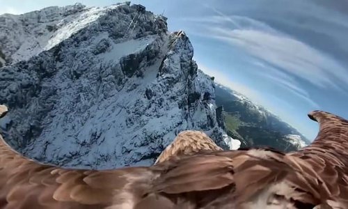 Spectacular footage shows eagle's eye-view of the damage that climate change appears to be doing to glaciers in the Alps