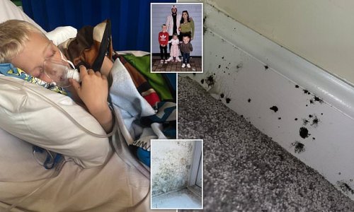 Black mould forces family out of their new-build home after six-year-old son suffers severe asthmatic reaction