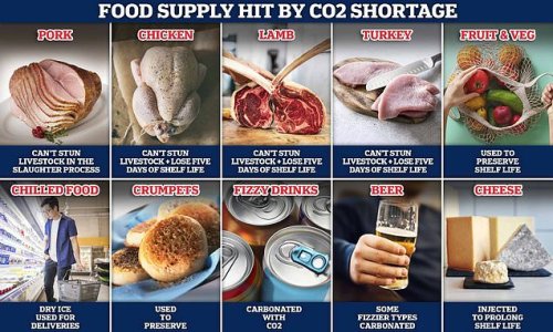 Iceland boss warns C02 shortage will hit food supplies 'within DAYS'