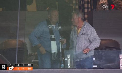 Eddie McGuire explains why English cricket legend Ian Botham was in his private box at the footy wearing a Collingwood scarf