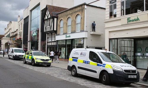 Boy, five, dies from head injuries after 'mirror fell on him'