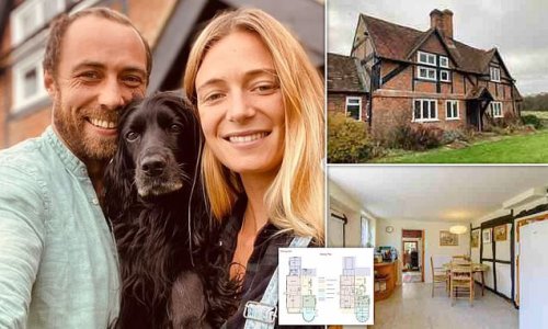 EXCLUSIVE: Princess of Wales Kate's brother James battles bat-loving conservationists over plans to demolish part of his £1.45m 16th century Berkshire farmhouse