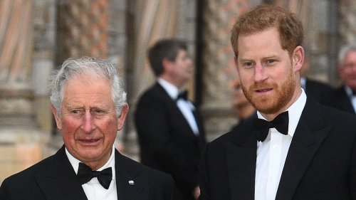 Will Charles now try and remove Harry as Counsellor of State? Legal experts say prince can't resign...