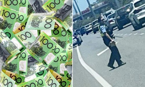 Mystery as drivers were 'splashed' with $100 notes flying through the air on busy highway - with one person reportedly making off with $10,000