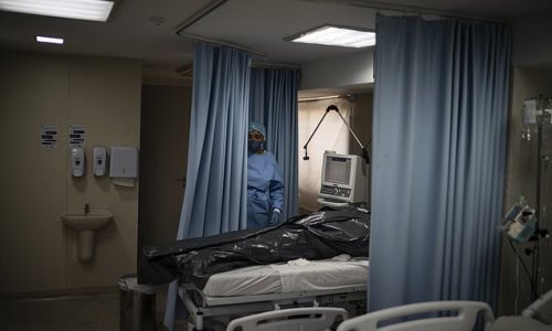 Bolsonaro under fire as Brazil hits 300,000 virus deaths