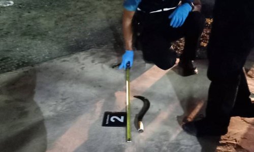 British tourist is hacked to death with a SICKLE in Thailand
