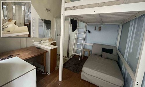 Would you live here? 'Cozy' one-bedroom rental with a SHOWER next to the bed is listed for $210