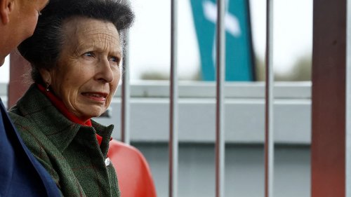 Check her out! Princess Anne is elegant in a grey suit as she visits Jaguar Land Rover factory