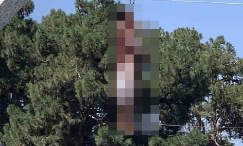 Taliban hang bodies of 'kidnappers' in four squares of Herat