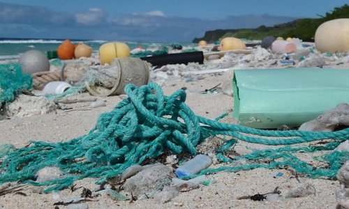 Four BILLION plastic particles from all over the world found on island