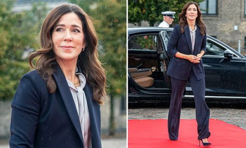 Princess Mary poses with a VERY unique accessory as she suits up in navy for a conference amid Danish royal title drama