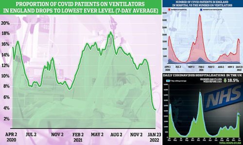 Hospitalised Covid patients needing ventilator plunges to 6-month low