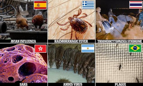 From a deadly Ebola-like disease in Croatia to bird flu in Egypt: Biggest disease threats in each country REVEALED