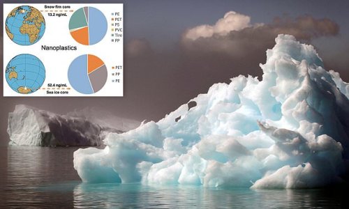 Nanoplastic pollution is found in the Arctic and Antarctica