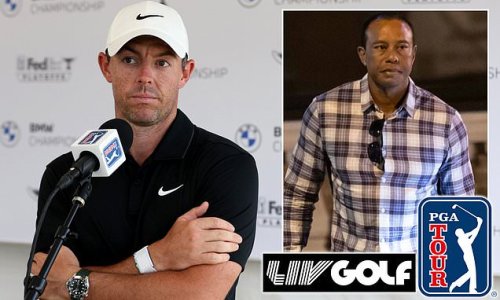 Tiger Woods is 'the alpha' of the PGA Tour group who are plotting the fight against Saudi-backed LIV Golf, reveals Rory McIlroy, as he hails 'the hero we've all looked up to' for his role