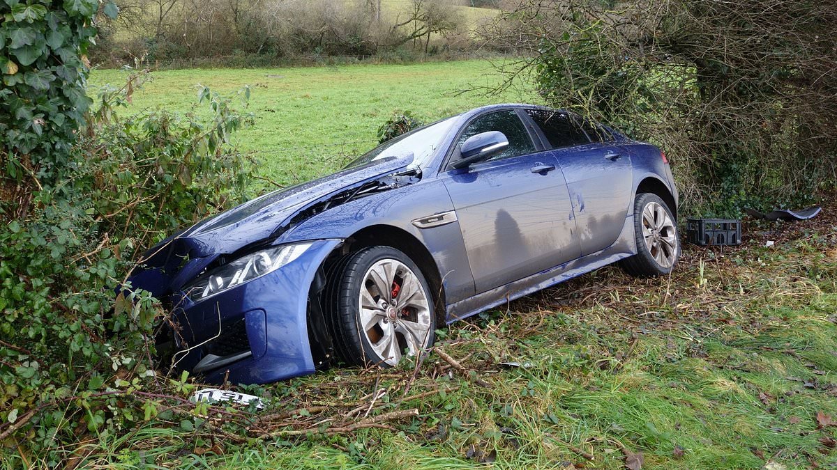 Which used cars can you buy with confidence?