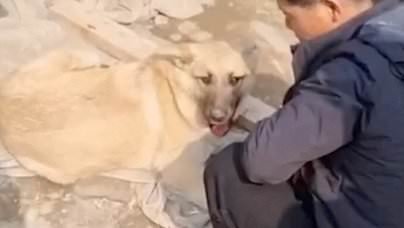 North Koreans filmed stroking a dog beside large cooking pot in Russia spark fears Kim Jong Un's countrymen are eating local pets