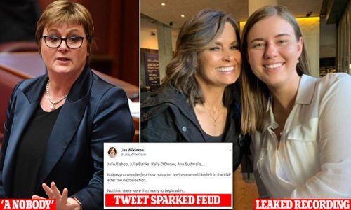 EXCLUSIVE: Lisa Wilkinson's extraordinary 15-minute rant about Linda Reynolds - and the two-year-old tweet that started their feud: 'Who is this f***ing woman?'