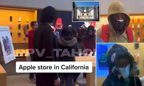 Incredible moment thieves casually ransack Apple store in tech mecca Palo Alto and staff HOLD BACK customers from trying to stop them