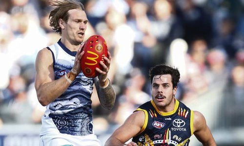 Chris Scott brands Tom Stewart the AFL's best defender as Tyson Stengle gets revenge on Adelaide for dumping him by steering Geelong to big win over Crows