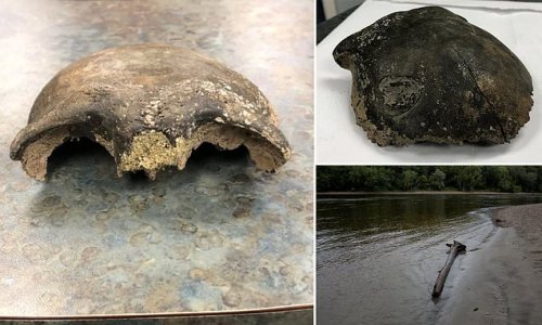Skull of young man dating back 8,000 YEARS is found by two kayakers during drought in Minnesota River as Native Americans slam officials for posting 'offensive' picture of it on social media