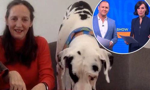 Sarah Ferguson's sister Jane leaves Morning Show viewers baffled