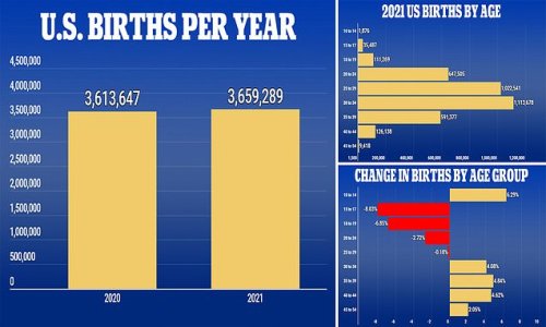 The US birth rate increased for the first time in seven years in 2021 - even as teen pregnancy fell 6%, CDC reveals