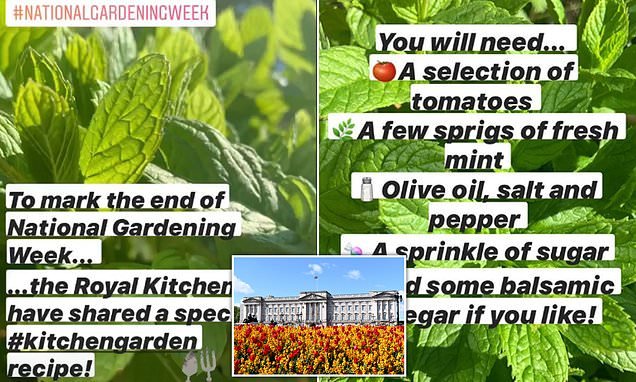 Buckingham Palace kitchen shares easy mint and tomato salad recipe to mark the end of National Gardening Week - and reveals how to grow the herb at home during lockdown