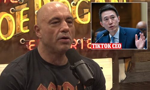 'These dudes have been sending data to China from day one': Joe Rogan tears into TikTok for 'lying' to Congress about how it uses private information - after CEO claimed app was NOT an 'agent of China or any other country'