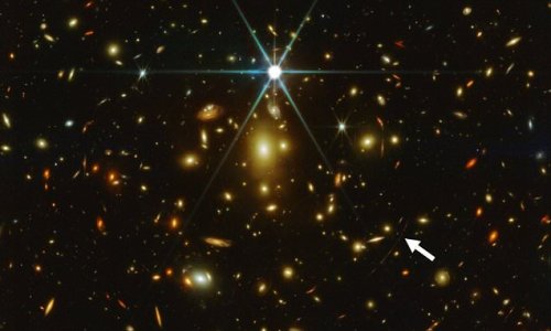 Can you spot the faint red glow of Earendel? James Webb Space Telescope captures its first image of the most distant known star in the universe