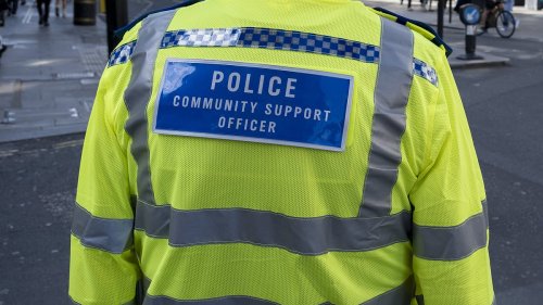 Paedophile, 41, is snared eight years after crimes against young girls... after applying for police force