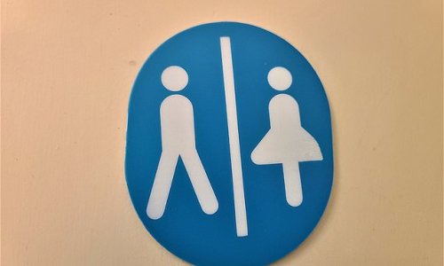 Civil servants are told to let self-identifying trans staff use whichever single-sex toilets they want under official guidance