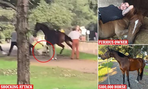 Fuming equestrian whose horse Luna was brutally attacked by an off-leash pitbull in a busy park delivers a stern message all pet owners should read - as locals slam the dog's 'useless' walkers