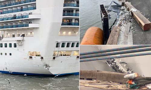 cruise ship crashes in san francisco