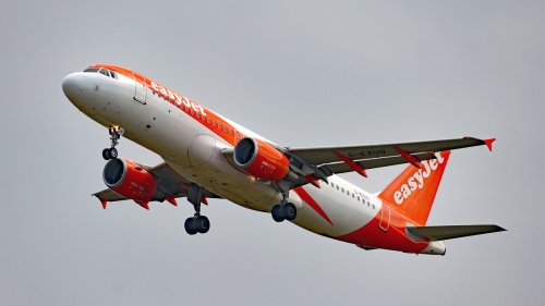 EasyJet flight forced to divert after 'hallucinating passenger sees snakes on the plane'
