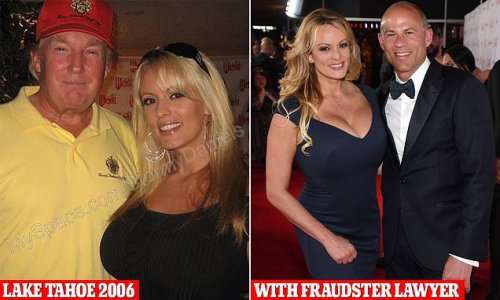The porn star who could put Trump behind bars: Stormy Daniels claims she had 'textbook generic' sex with Trump in 2006 just after Melania gave birth to Barron - as Trump now faces 30 charges over $130k hush money