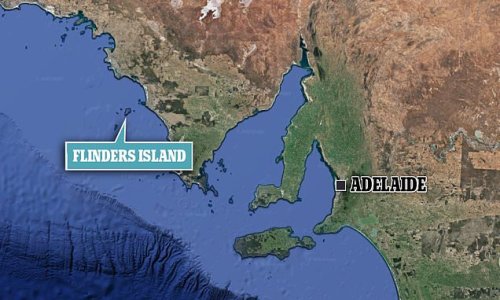 Idyllic island off the coast of South Australia is to become a haven for birdlife and endangered mammals