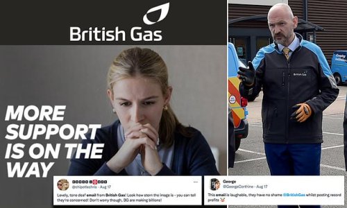 'We know times are hard… NOT for your CEO!': Customers blast British Gas over 'condescending' cost-of-living email on when government's £400 will kick in to ease bills burden