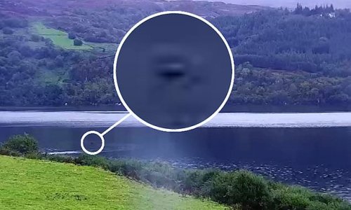 Did Nessie just poke her head above the water? Monster hunter stunned as black hump emerges from loch