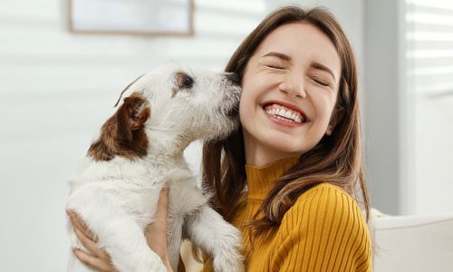 The eight signs your dog really loves you: Expert shares the ways our ...