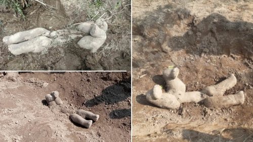 We'll never forget you: Harrowing photos reveal how elephants mourn and bury their dead calves -...