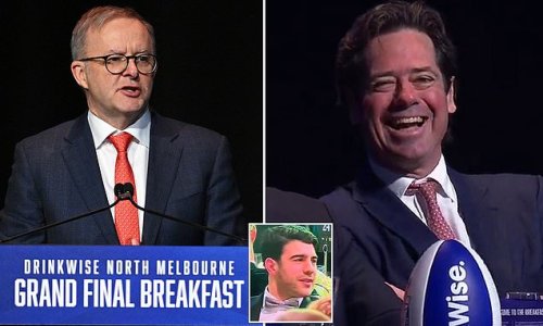 Anthony Albanese sends grand final breakfast into hysterics as he roasts Gil McLachlan over Brownlow incident that saw Demons star Christian Petracca blow up at AFL boss