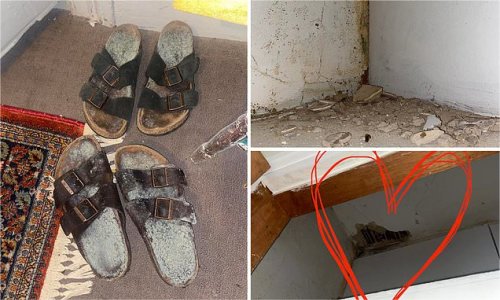 How a single photo of mouldy sandals photo lays bare Australia's rental crisis - as tenant claims landlord HIKED the rent despite the problems