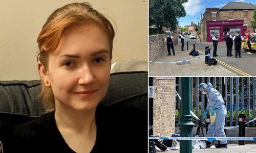 Pictured: Polish woman, 21, stabbed to death in alleyway in upmarket west London - as cops arrest man, 29, who was 'known to the victim' over murder