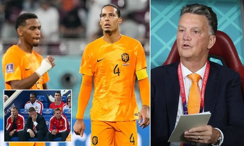 IAN LADYMAN: Louis van Gaal's Dutch team look like his version of Manchester United... over-coached and underwhelming, England should NOT be worried if they face them in the World Cup last-16