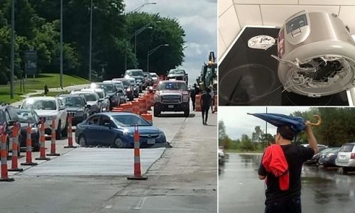 Brain not engaged! Hilarious snaps reveal decisions that made zero sense - from using a closed umbrella to putting a rice cooker on a hot hob