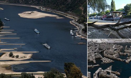 The Rhine runs DRY and is set to become impassable to crucial coal barges, with Europe on course to suffer worst drought in 500 YEARS and 'extremely violent' wildfires ravaging France in 100F heat