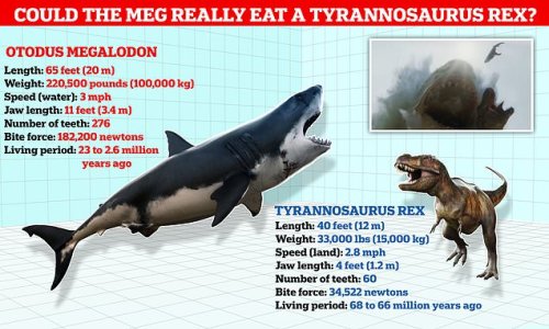 Could The Meg REALLY have eaten a T.Rex? As the first trailer is