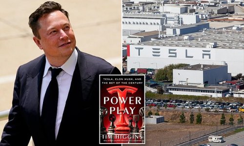 Elon Musk once demanded Tim Cook make him Apple CEO, book claims